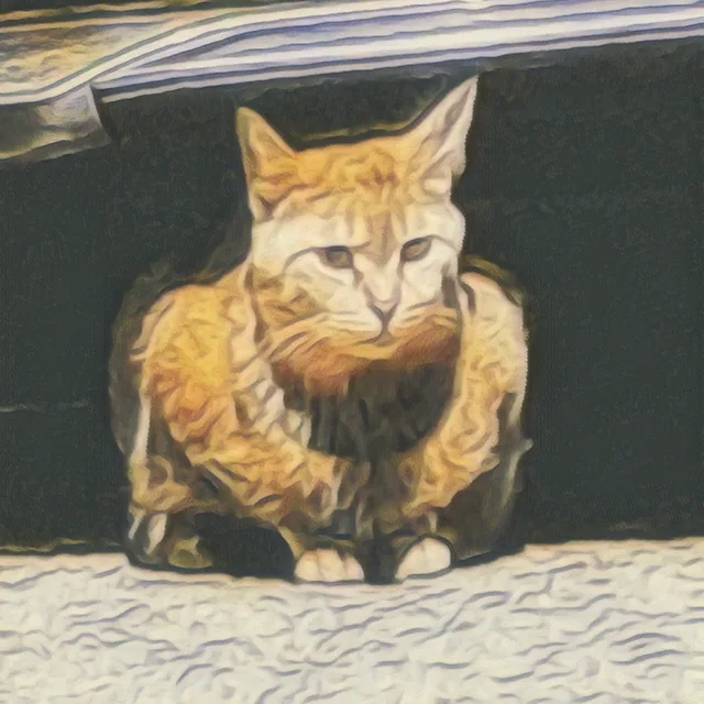 최정민