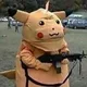 피카투다다다다