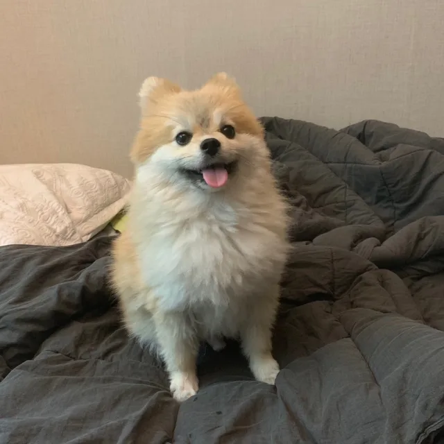 서무