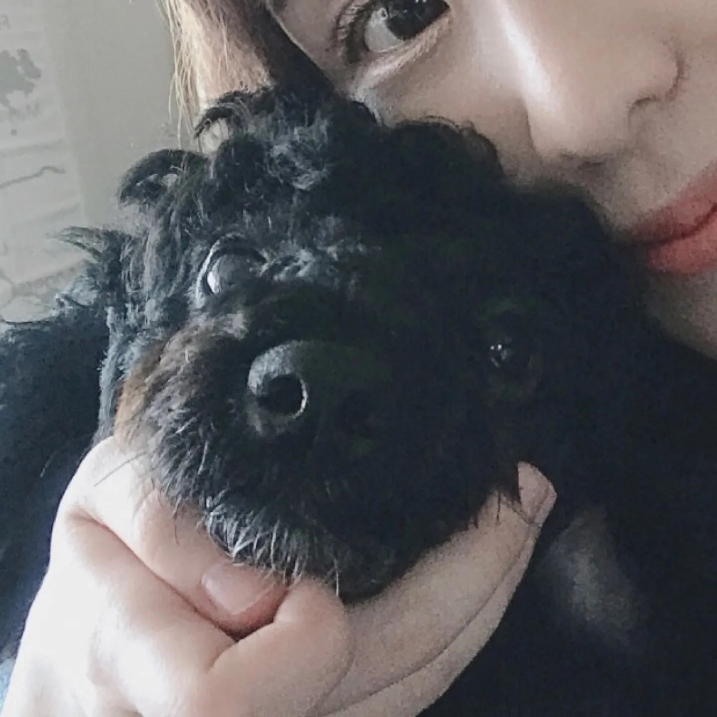 사랑짱