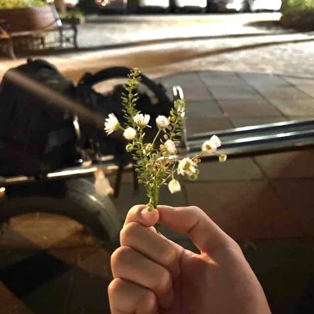 이쁘니