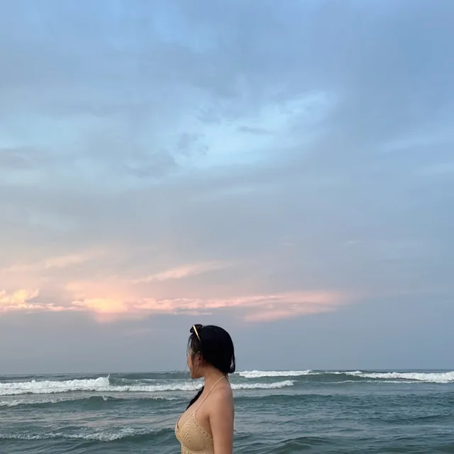당근당근