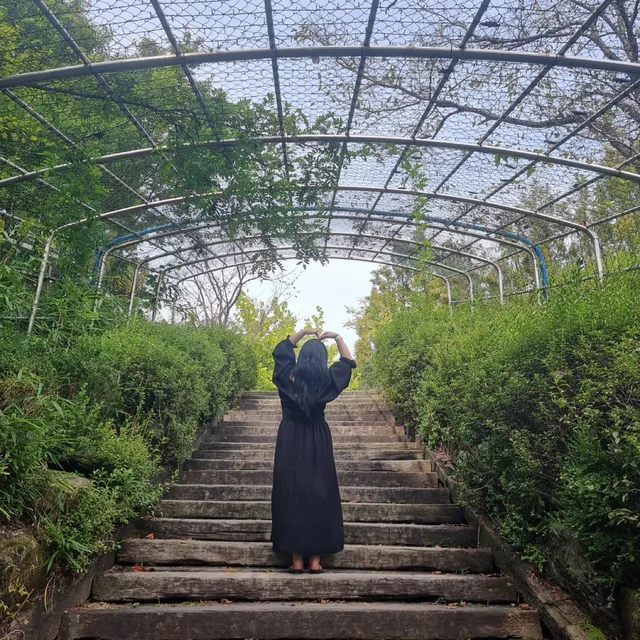 곰두리