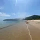 greenwave