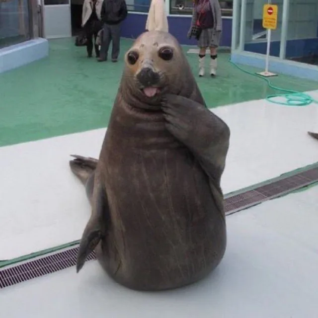 불주먹