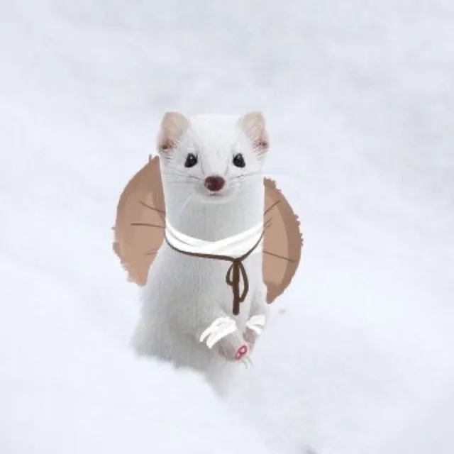 방법적회의