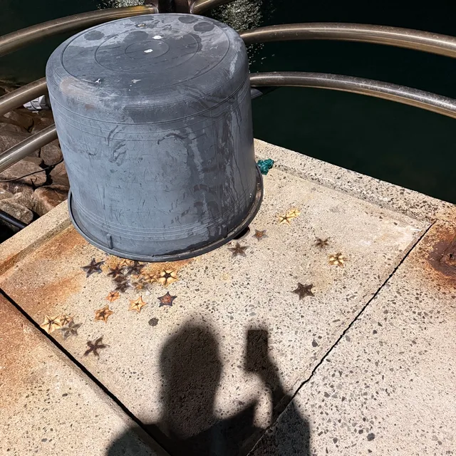 profile