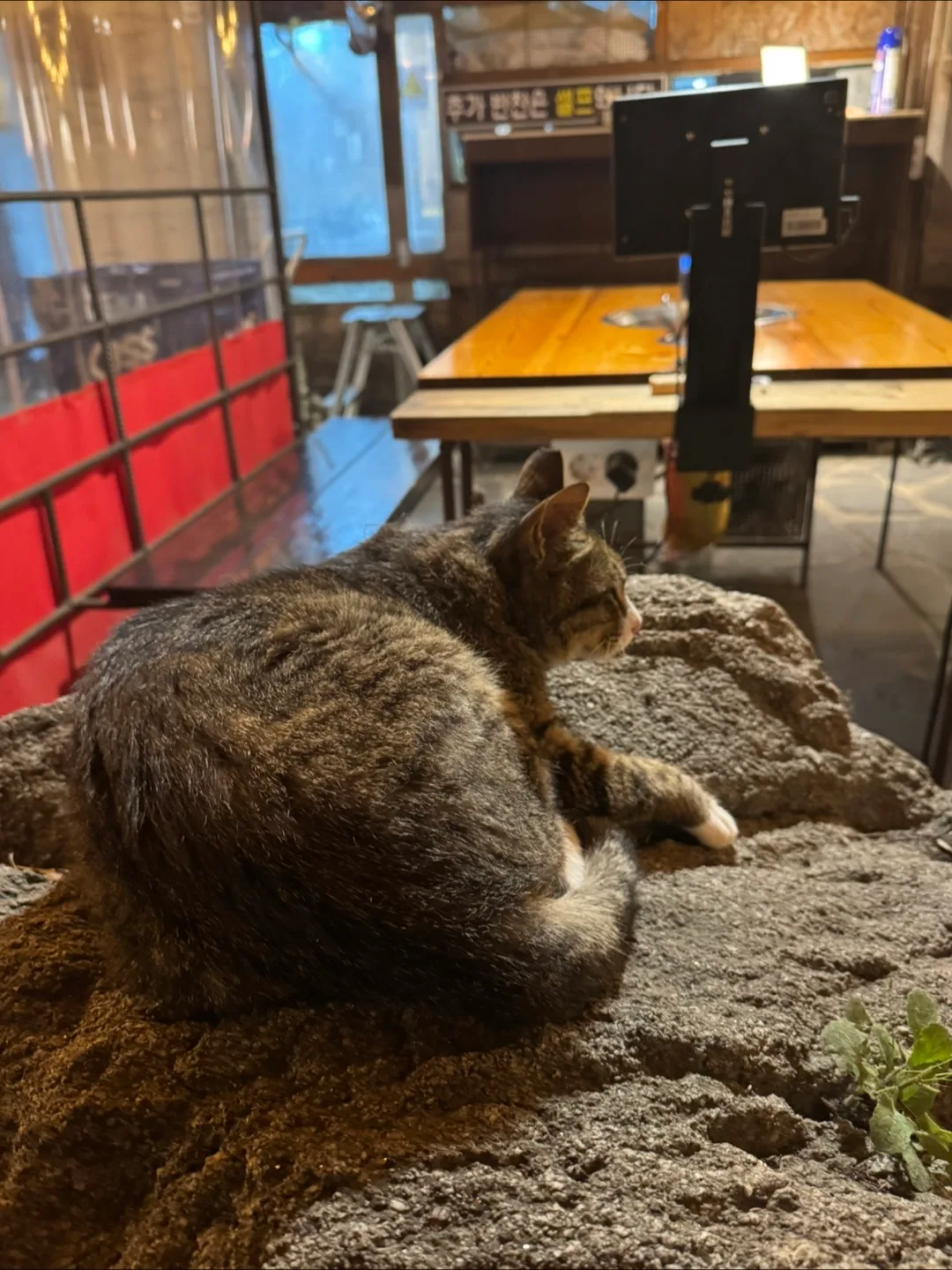 맘씨