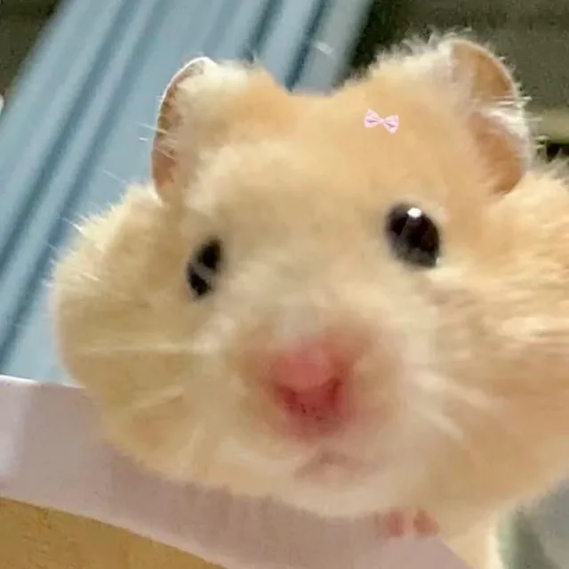 얌염