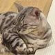 럭키