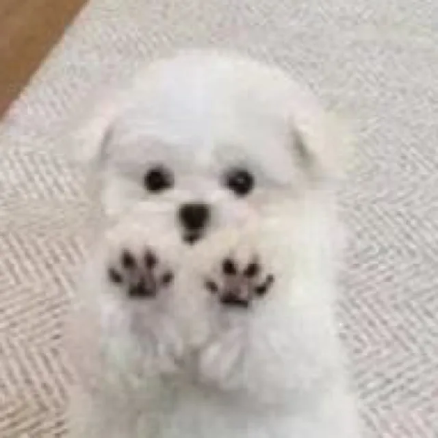 잔디
