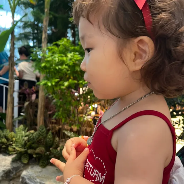 profile