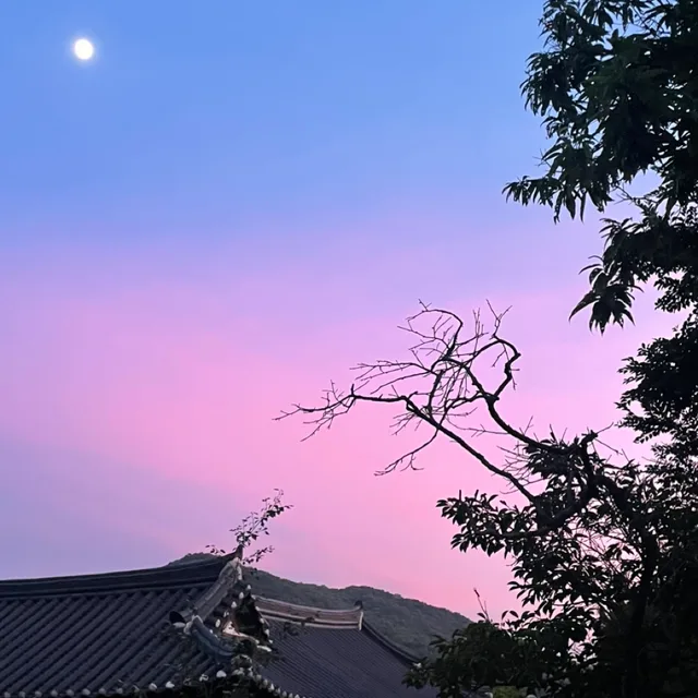 누르누