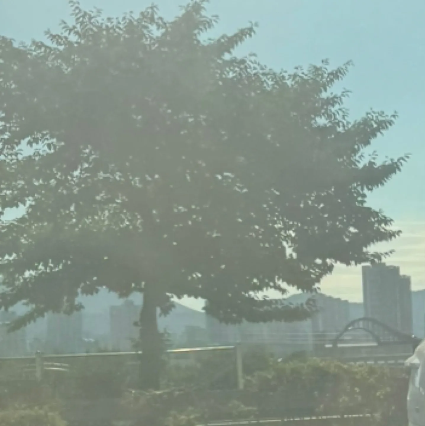심둥이네삼둥이