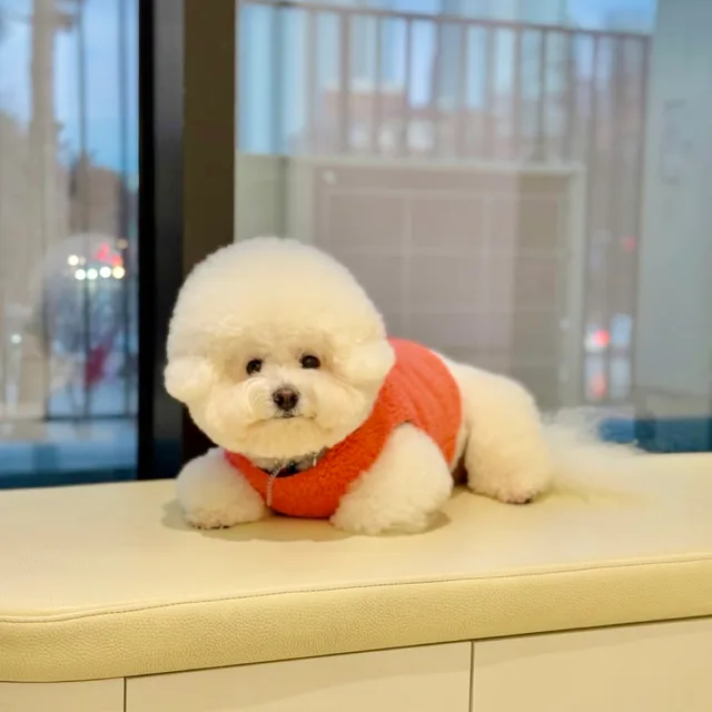 윤택이