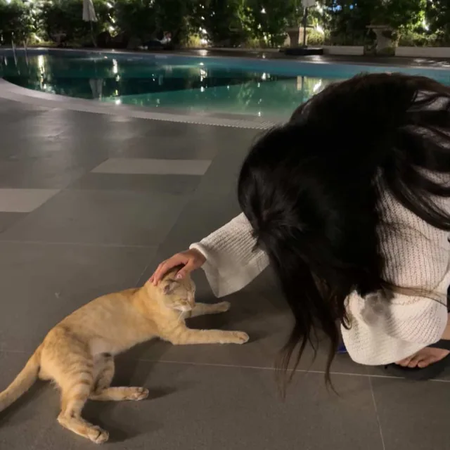 오렌지방구는누가꼈을까