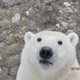 슈퍼말랑코