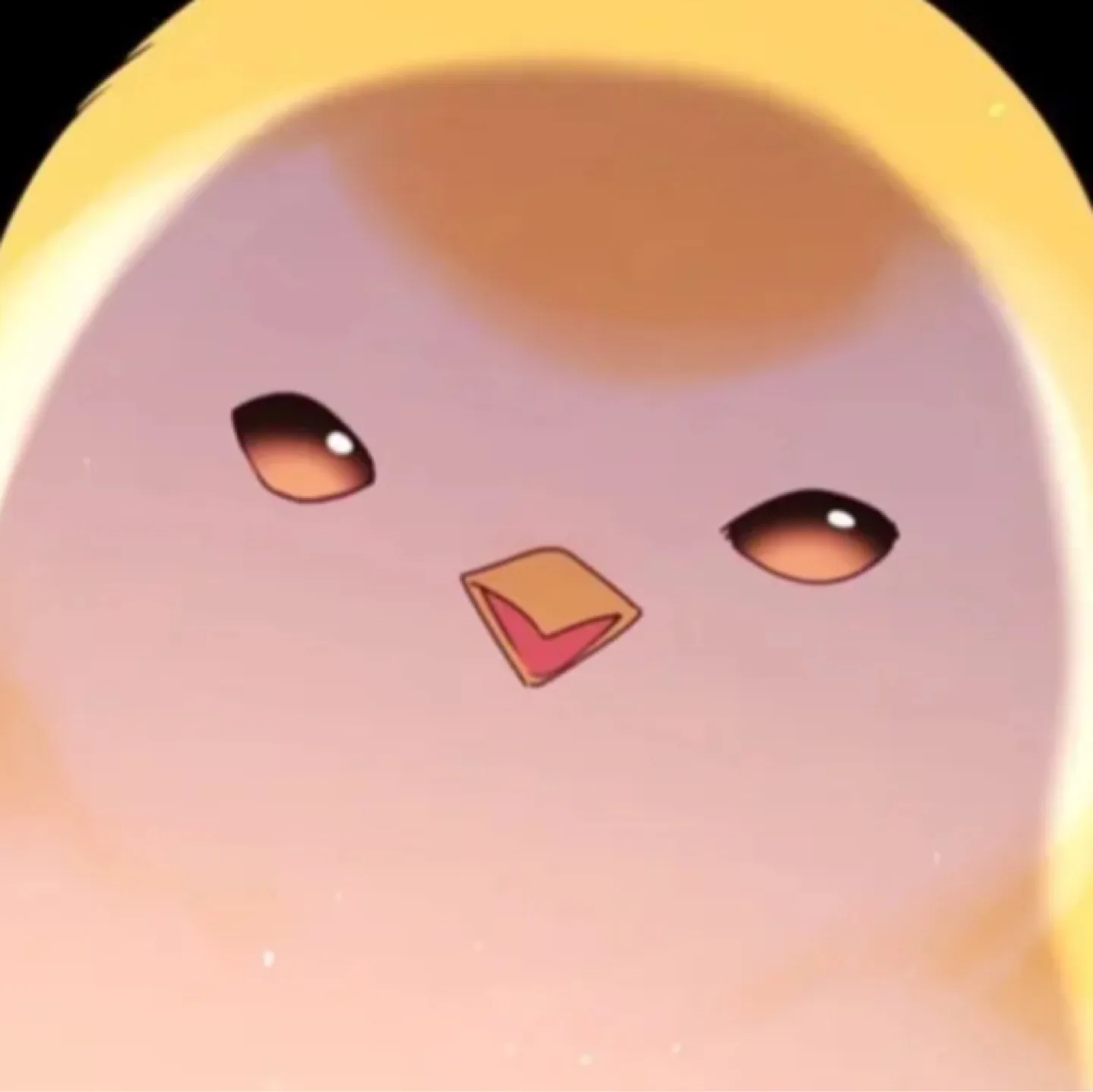 미루니