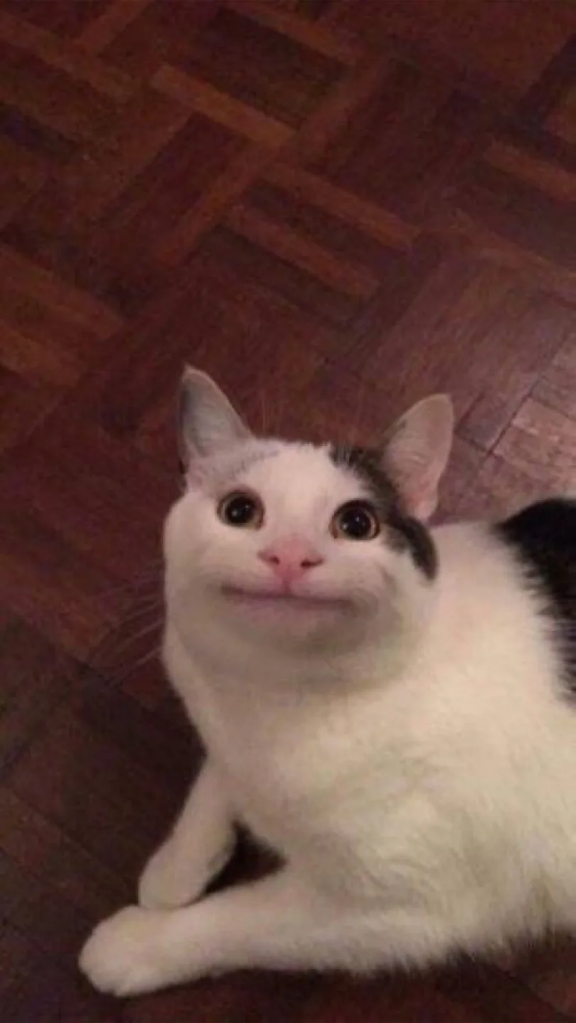 유니한
