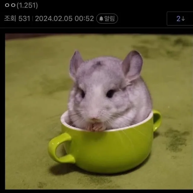 차돌