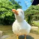 합리적인소비생활
