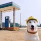 밤하늘