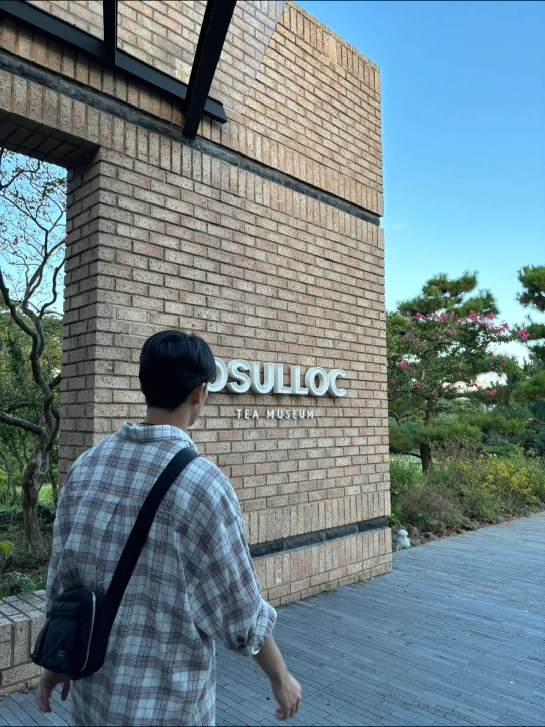 매일매일