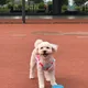 나리쓰