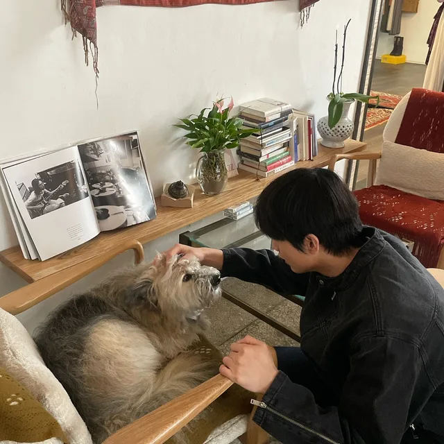고리