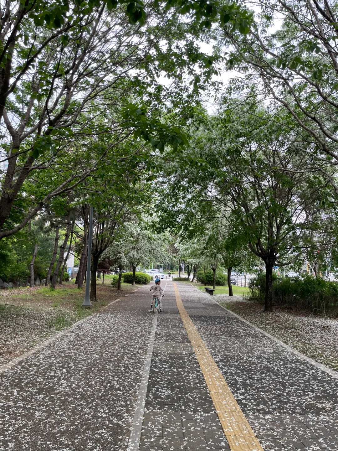 주여닝