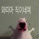 가대생