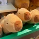 반짝아안녕