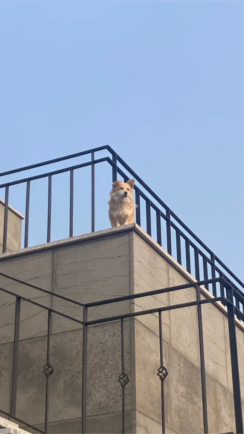 후후