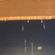 공유