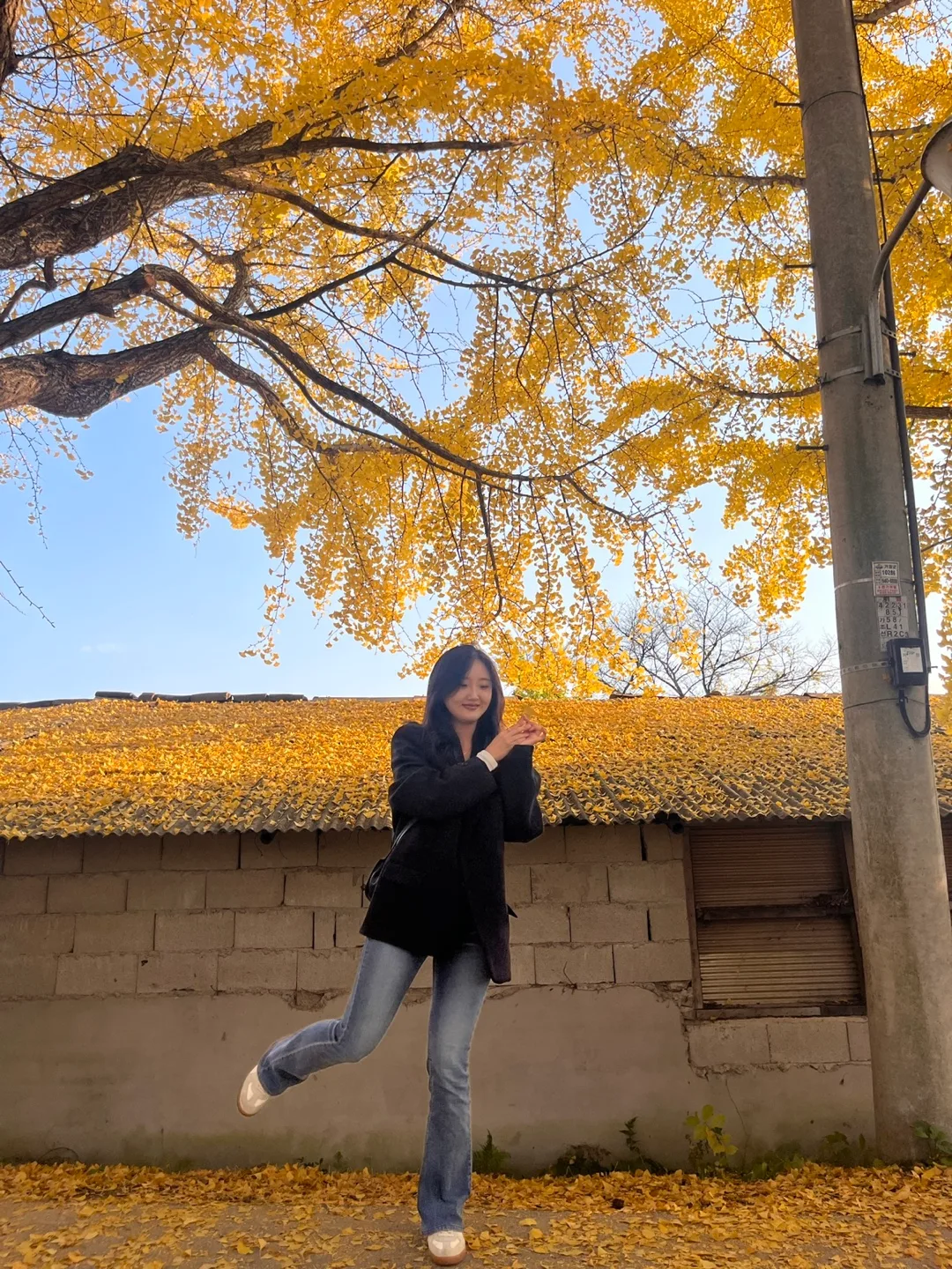 캉치치