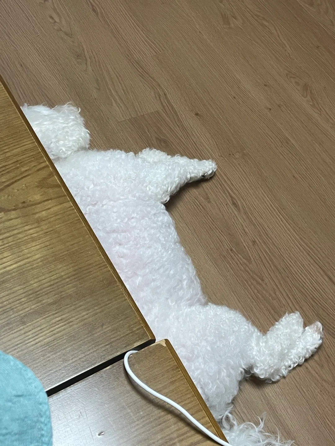 체리망고