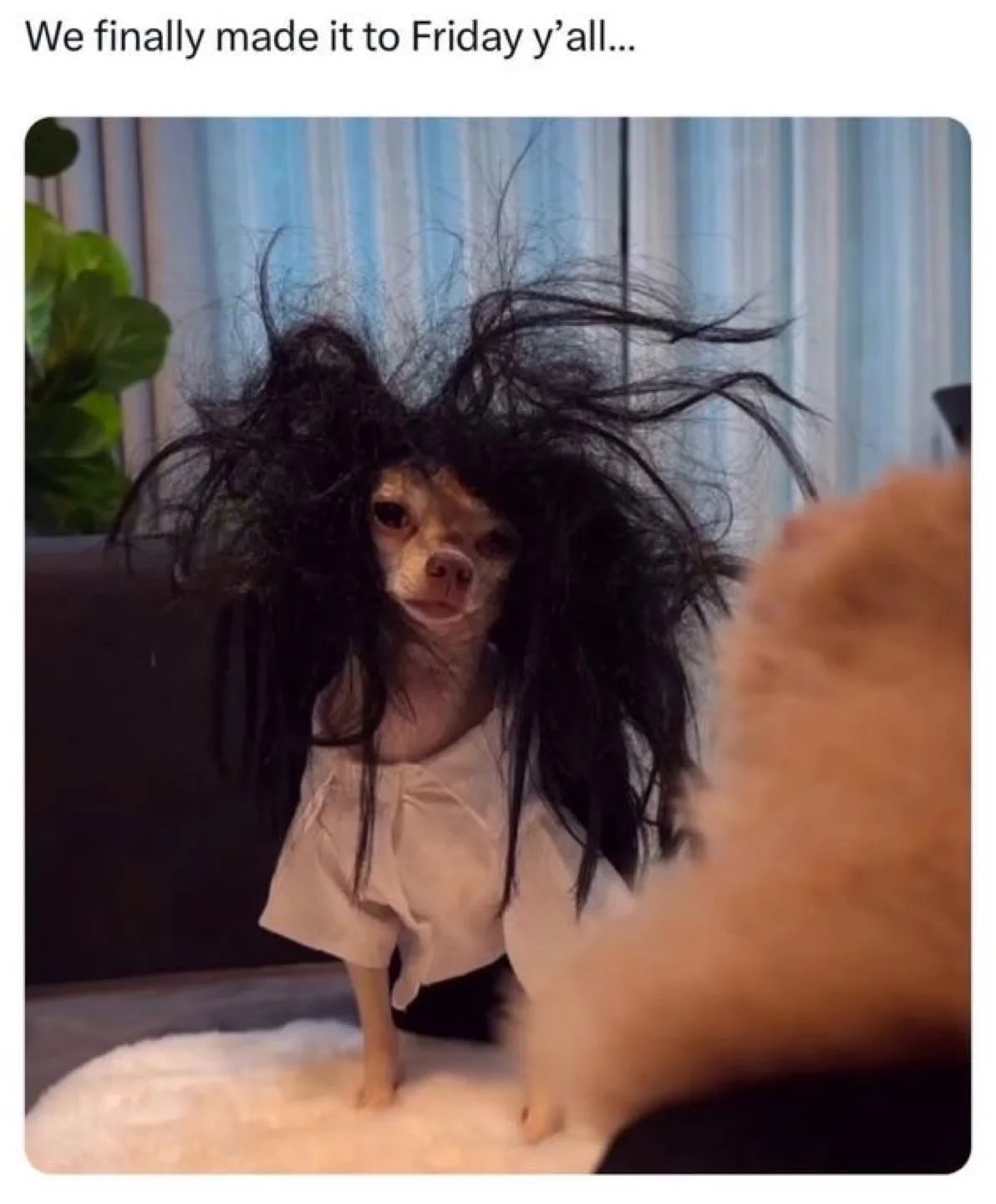 가져가세여