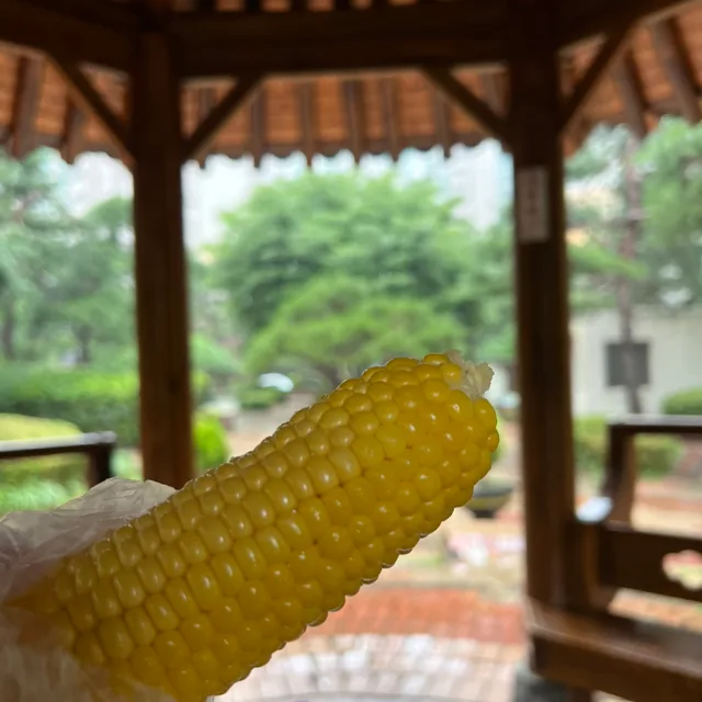 쓰윽빡