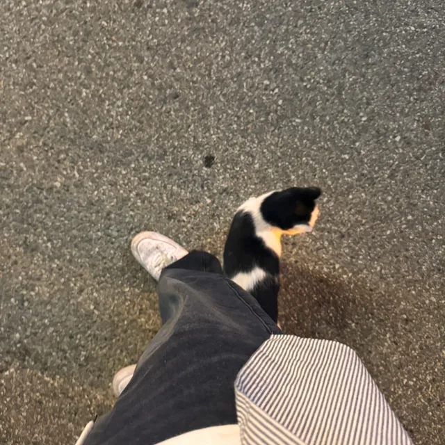 산곡동물주먹