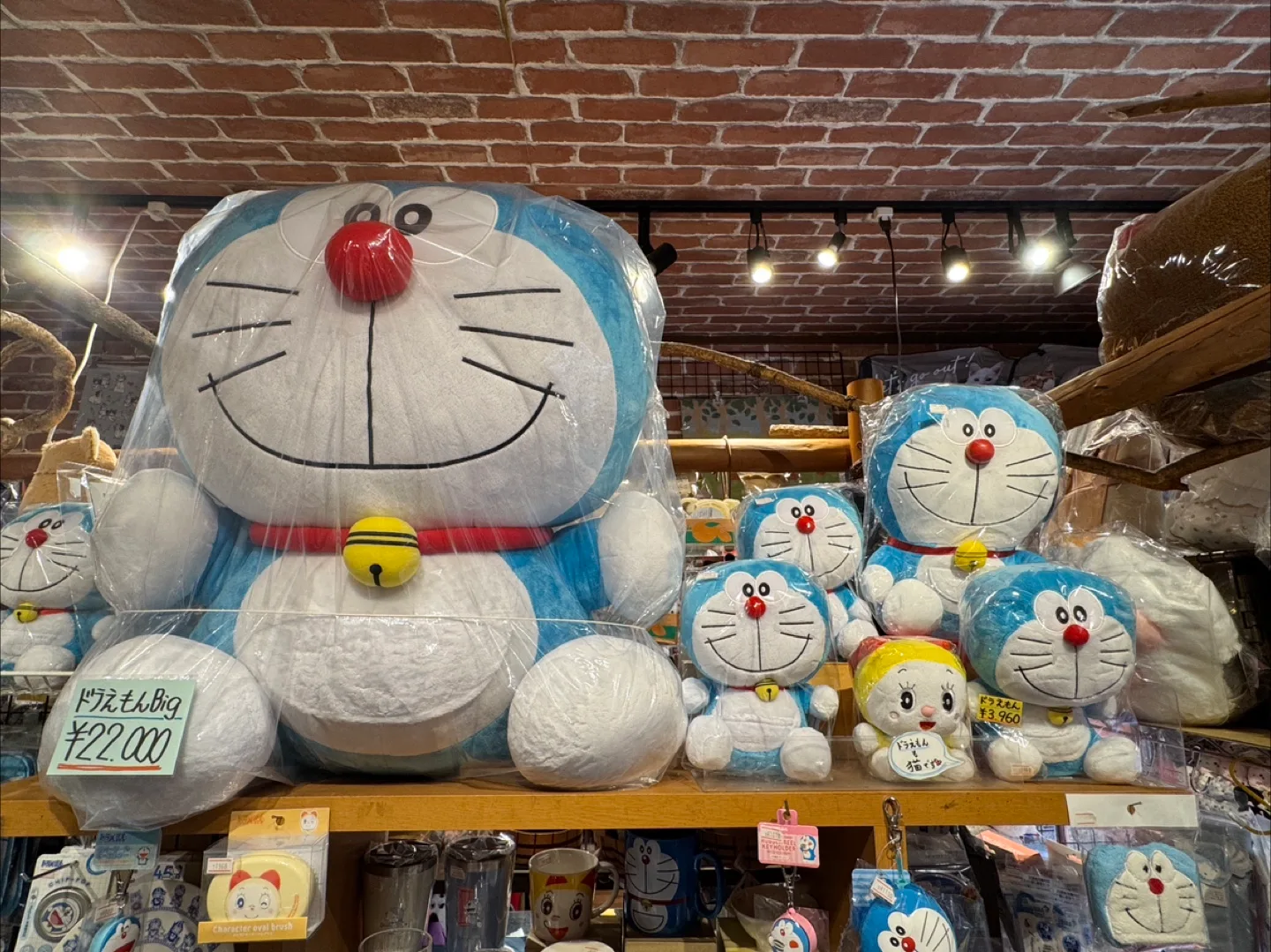 마루코