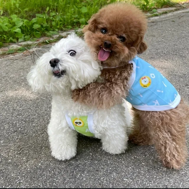 당근당근