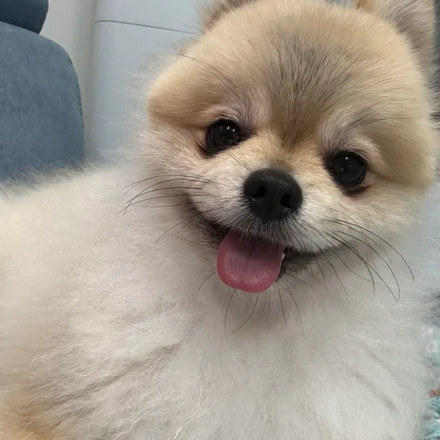 룽지맘