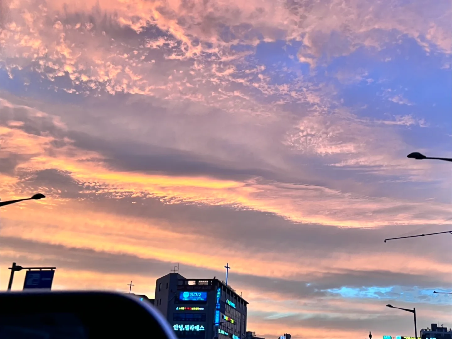 선인장