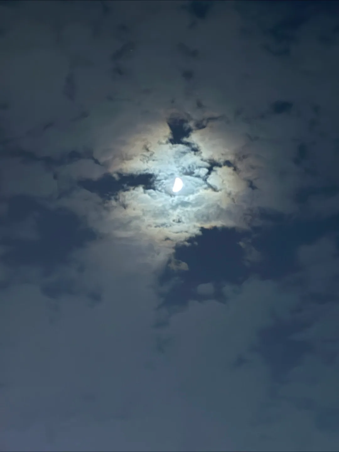그릿