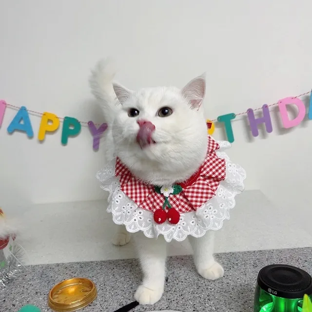 지은이네