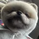 재뮈