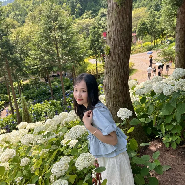 혜린
