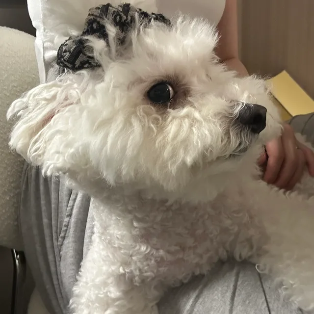 에눌요청하면차단해용