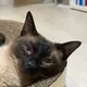 이뻐진쵸쵸