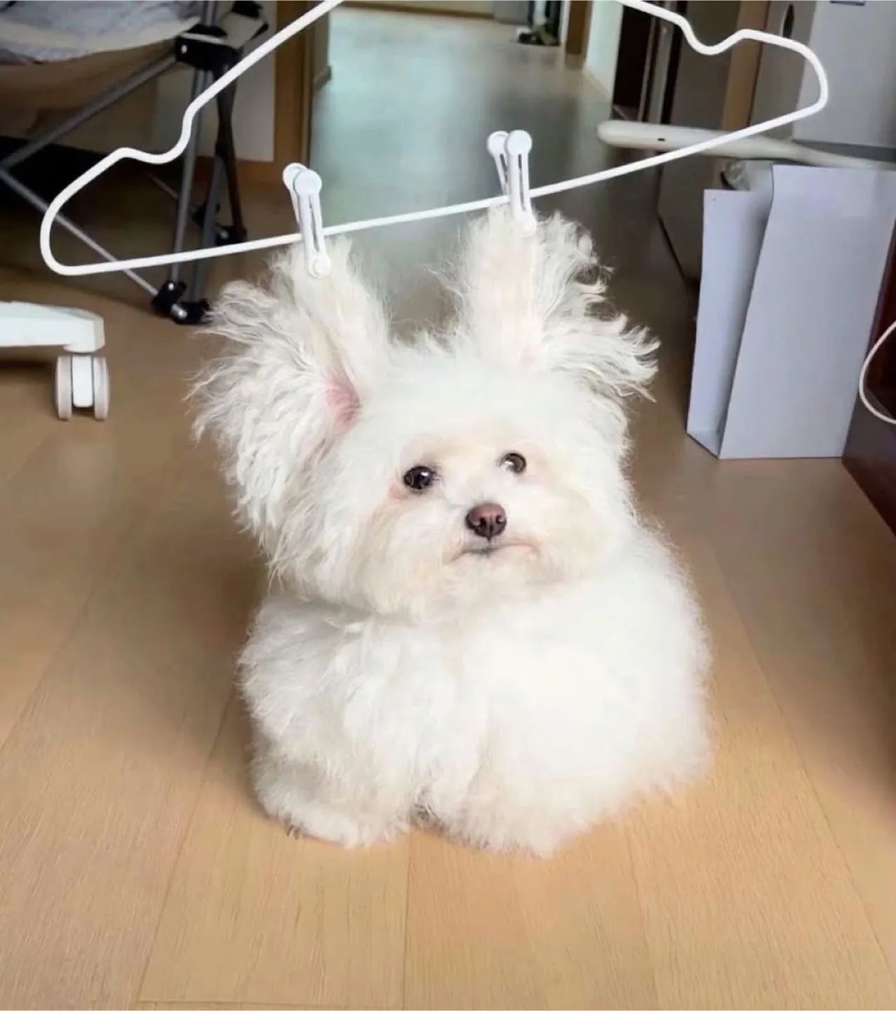 얌소
